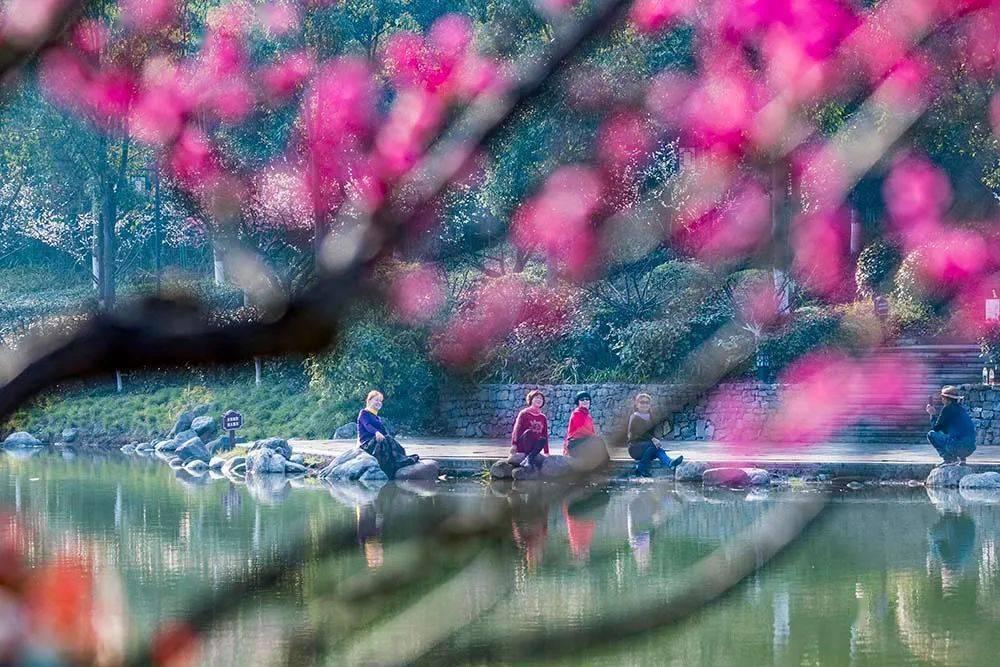 逃离壳牌岛