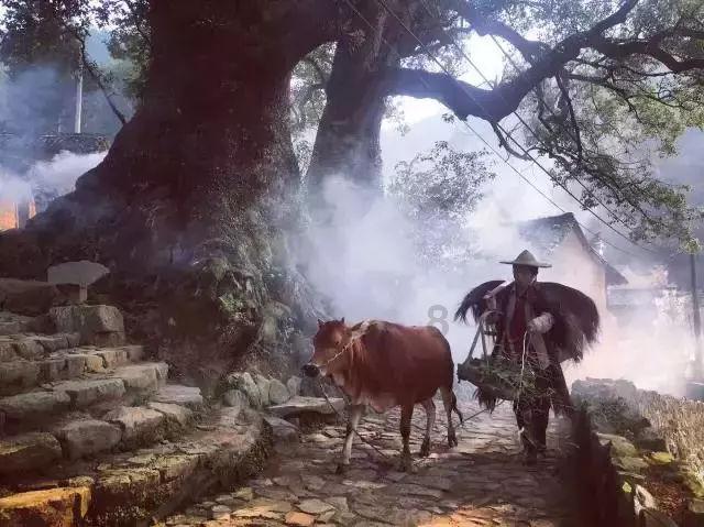 次元喵
