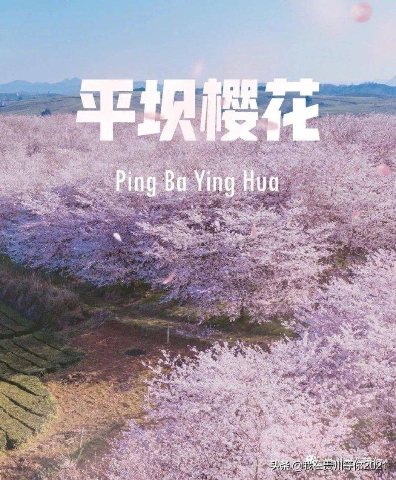 森迪公主夏日度假