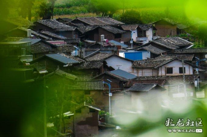 七宝有个“红色堡垒”丨闵行情