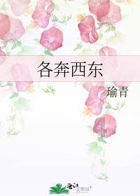 燃烧吧大脑免广告最新版
