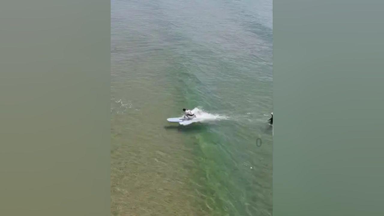 鬼吹灯之牧野诡事H5
