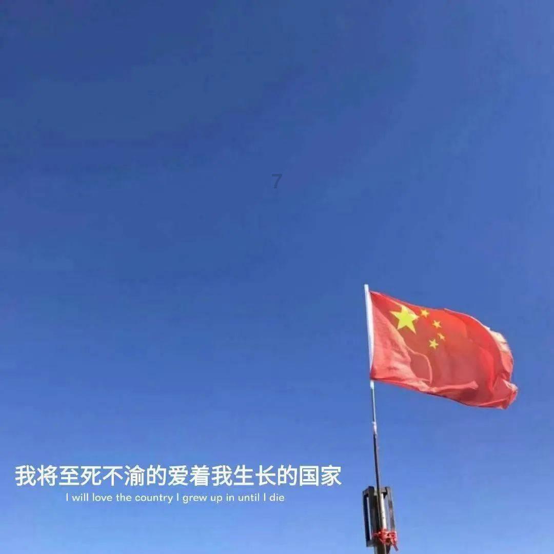小猫钓鱼开船版最新版下载