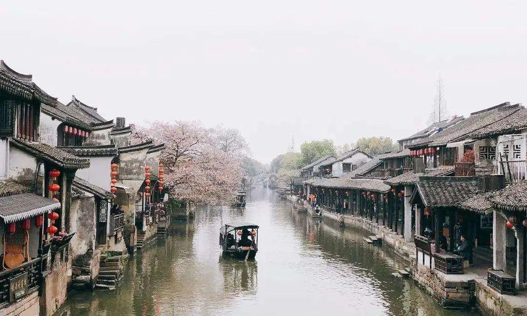 杀出重围人类分裂