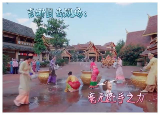 呆萌动物园